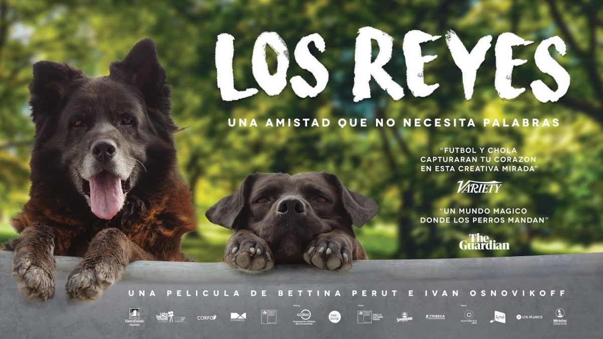 Retiro de entradas para el cine