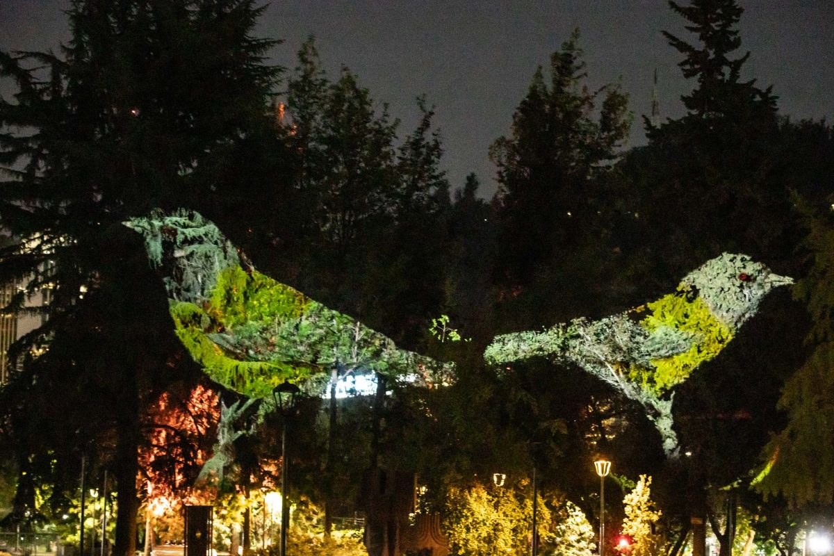 EnsayoMapping_12-12-22-43