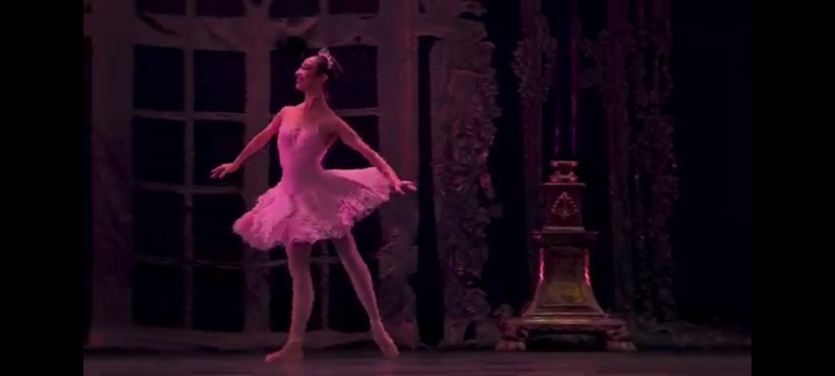 Screenshot_2022-12-29-16-45-36-391_com.google.android.youtube