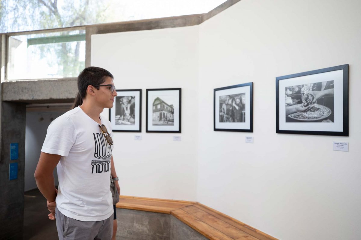 DestinoNahuelbuta_16-01-23-26