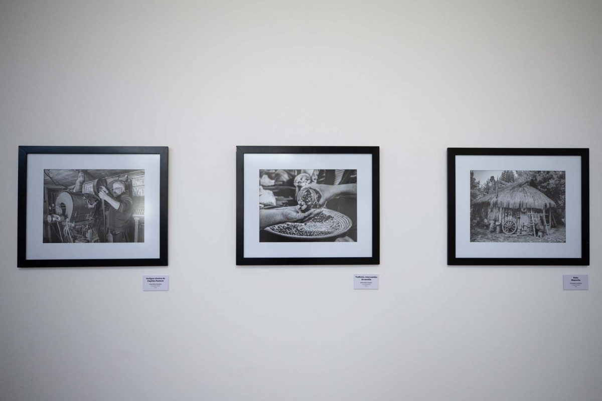 DestinoNahuelbuta_16-01-23-7