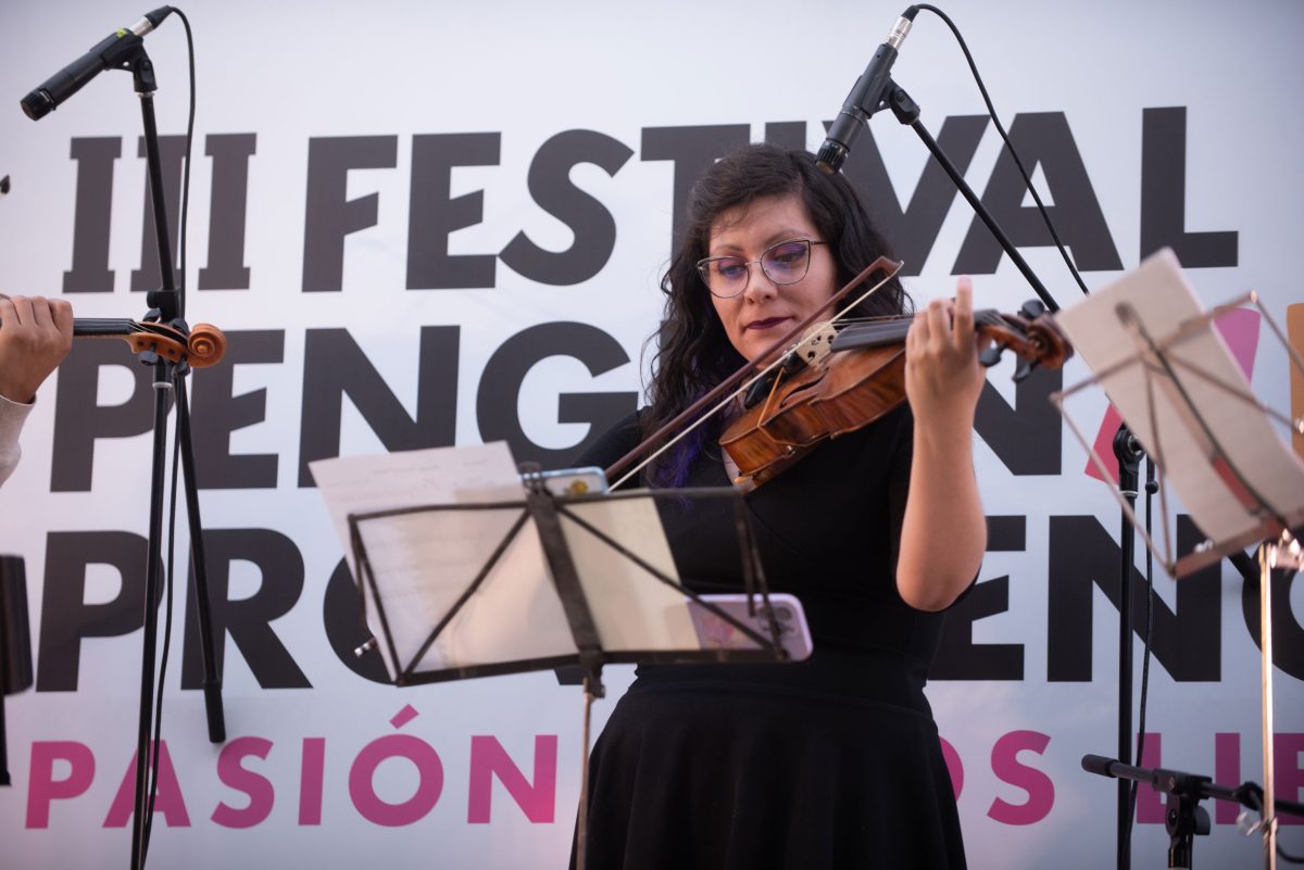 FestivalPenguinProvidencia_20-04-24_-228