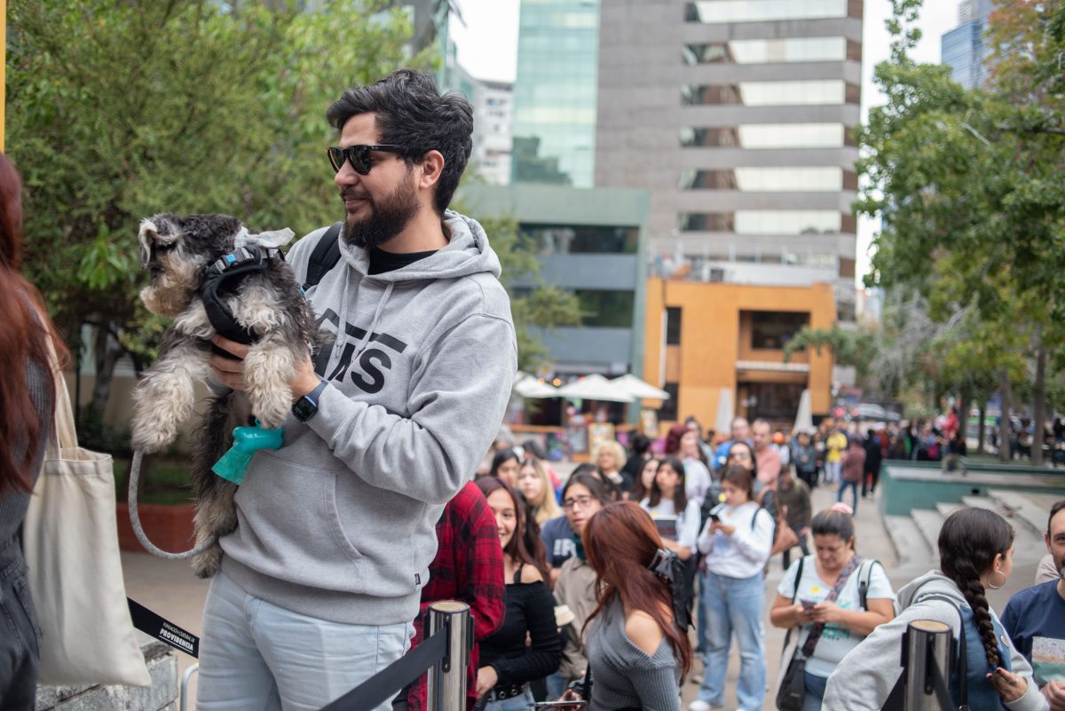 FestivalPenguinProvidencia_20-04-24_-284