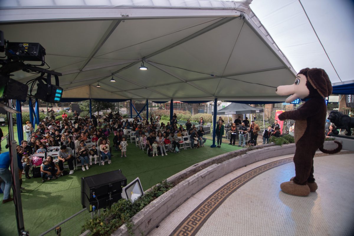 FestivalPenguinProvidencia_20-04-24_-83