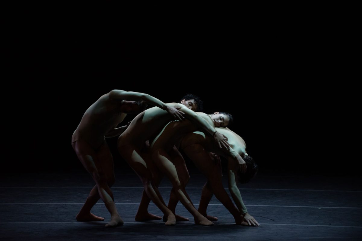 Registro fotográfico de Mariana Canobra