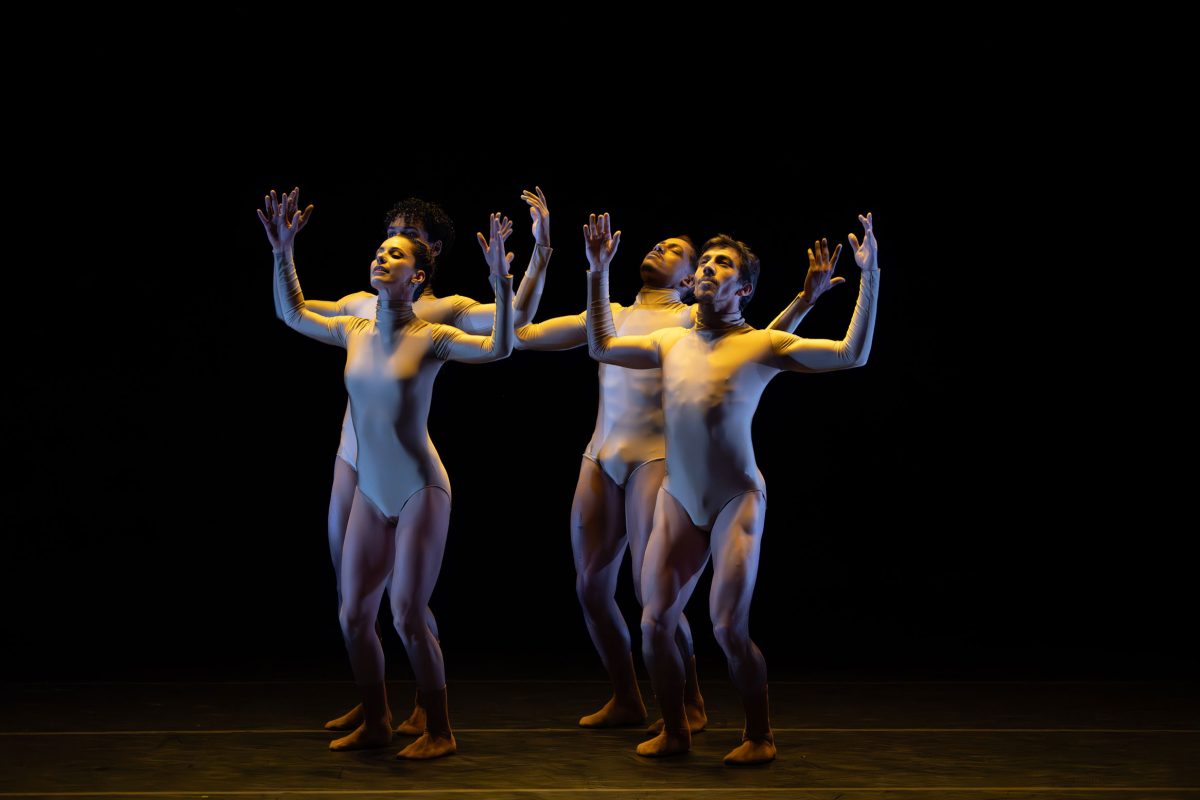 Registro fotográfico de Patricio Casassus